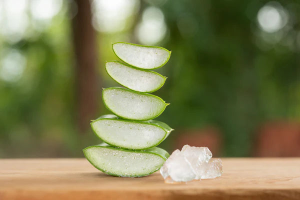 🌿 Aloe Vera